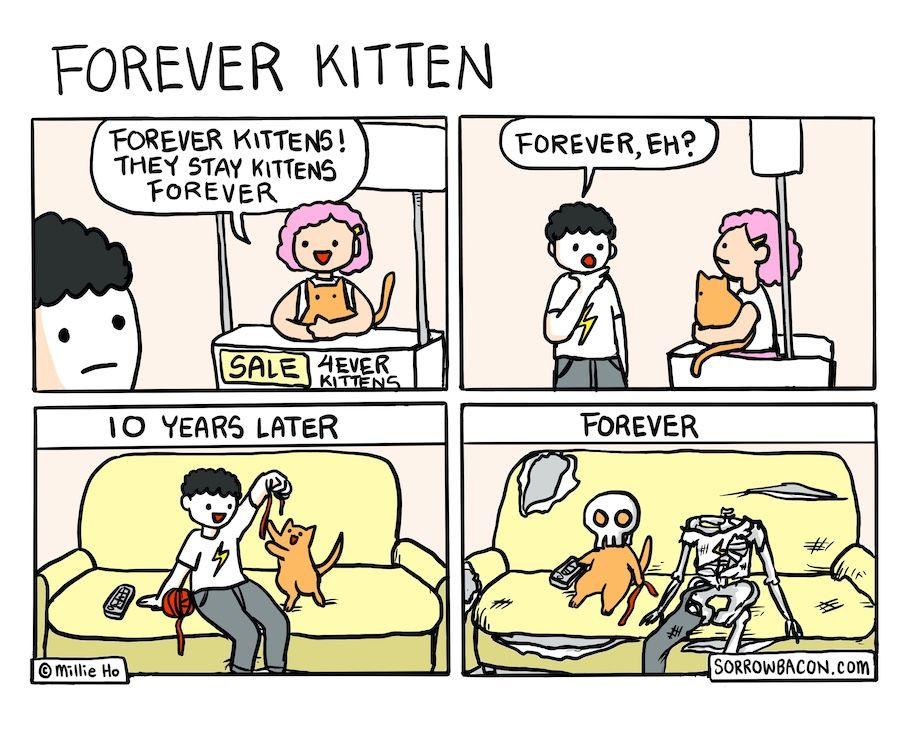 Forever Kitten sorrowbacon comic 